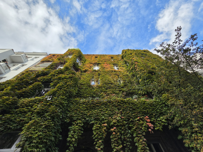 Das Galaxy Z Fold 7 belichtet in dieser Situation etwas über. (Bild: Tobias Költzsch/Golem)